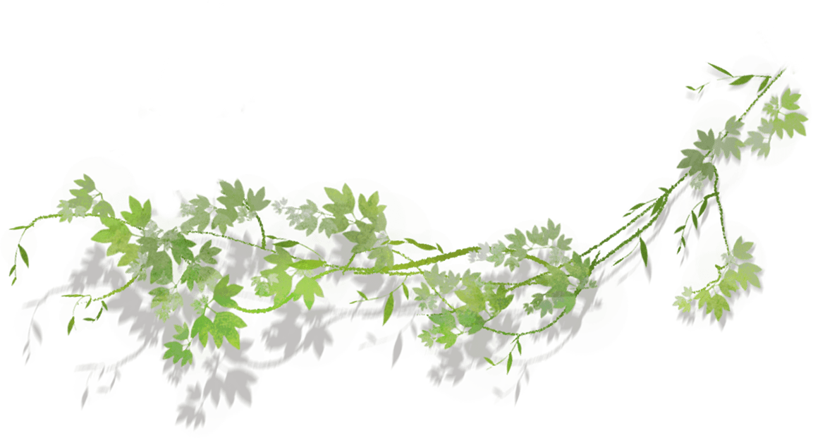 草.png