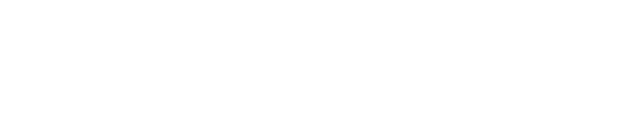 Neversoft.png